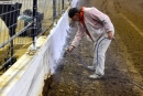 The walls at The Dome at America&#039;s Center get another coating of paint Dec. 7 before the Castrol Gateway Dirt Nationals finale. (photosbyboyd.smugmug.com)